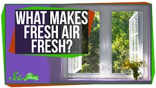 What Makes Fresh Air Fresh?