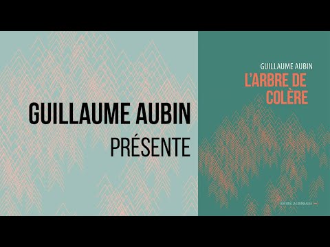 Vidéo de Guillaume Aubin