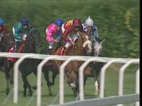 Electrocutionist vs Vol De Nuit - Premio Milano 2005 - Ippodromo di San Siro