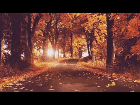 محمد المقيط "سورة الملك "