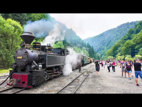 Mocanita Maramures - Mocanita Tour