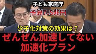 【国会切り抜き】参政党が示す少子化問題への本気の対策【参政党 少子化対策、子ども家庭庁】