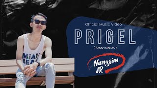 Download lagu Nungsim Jr - Prigel mp3 Download lagu Nungsim Jr - Prigel mp3