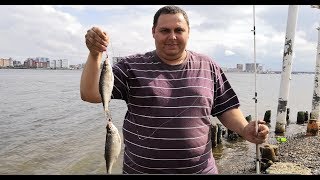 Когда в астрахани клюет вобла