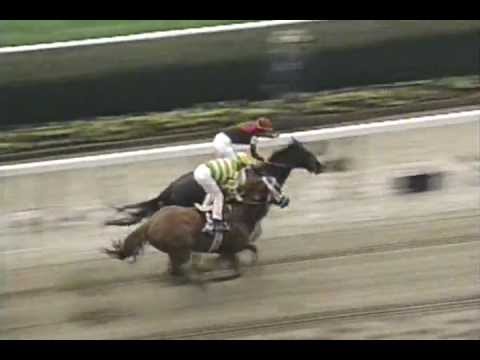 1995 Breeders' Cup Juvenile - Unbridled's Song + Post Race & Interviews