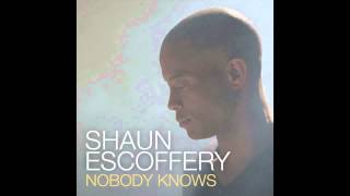 Shaun Escoffery - Nobody Knows (Rolling Stock Remix) - Official Video