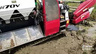 Download lagu Combine Yanmar AW 70 V di lahan dalam dan basah mp3