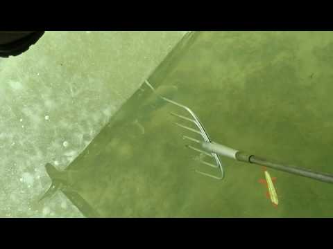 Darkhouse spear 44.5" 21 3/4lb pike