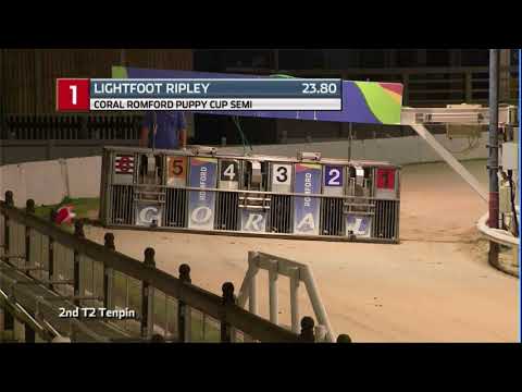 2020 CORAL PUPPY CUP - 1ST SEMI - T1 LIGHTFOOT RIPLEY