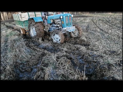 Rakovica 60 i IMT 560  u problemu - Izvlacenje drva