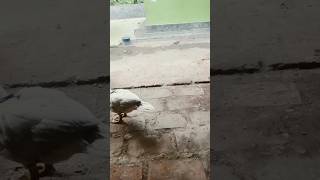 Download lagu 18 Desember 2023 mp3