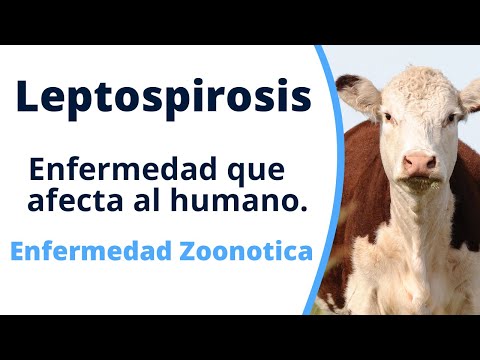 , title : 'Como prevenir la leptospirosis 2022'