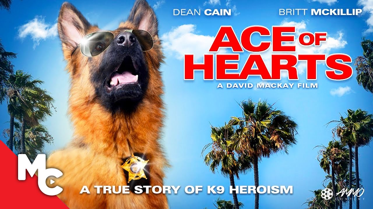 Ace of Hearts (2008)