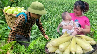 Ly Tieu An harvests corn - Boils ripe corn to sell - Daily work of an 18-year-old single mother