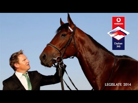 2014 VODACOM DURBAN JULY WINNER LEGISLATE - WHERE IS HE NOW?