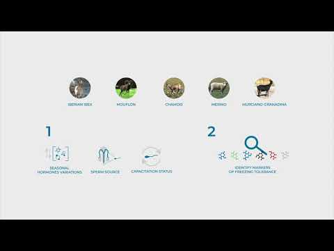 Rep-Biotech  ITN ScienceInMotion Series - ESR 8