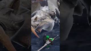 【モンハンライズ】 ベリオロス狩ります #shorts #モンハン #モンハンライズ
