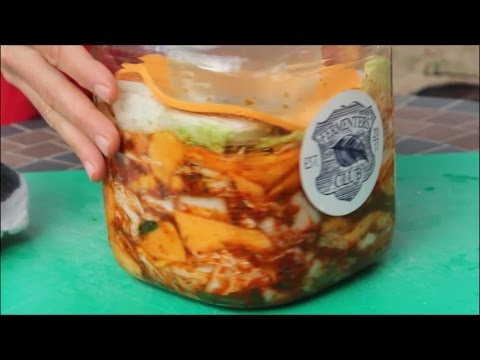 download lagu mp3 mp4 Squash Kimchi, download lagu Squash Kimchi gratis, unduh video klip Squash Kimchi