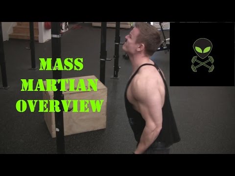 Muscular Strenght Title