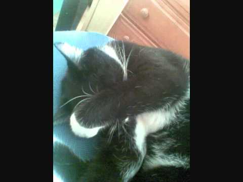 Azad feat. chabs - Mentale Krisen (Bob Kuba RMX)