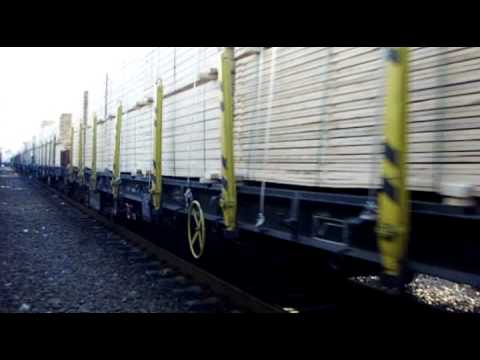 Marfar apartinand operatorului CFR Marfa sosind in Chitila, 25.11.2010