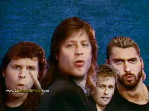 Mr. Mister "Something Real (Inside Me/Inside You)"