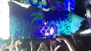 Armin Van Buuren @ EDC Las Vegas 2013 (Violetta)