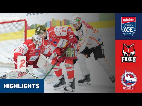 ICE: HCB Südtirol Alperia vs. HC TIWAG Innsbruck - Die Haie | Highlights