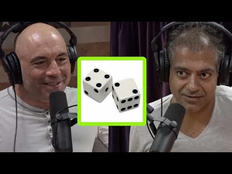 What's the Meaning of Life? | Joe Rogan and Naval Ravikant