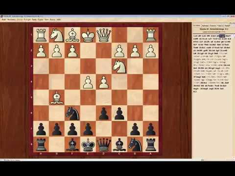 Vereinsmeisterschaft 2019 Runde3 Philidor/Pirc Verteidigung