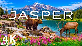 Jasper National Park 4K | The Jewel of Alberta – Discover Jasper’s Stunning Wilderness and Wildlife