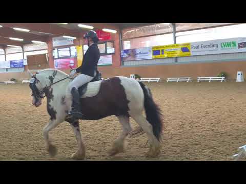 Kür Einzel Klasse A* mit Tinker Sullivan - Aug. 2019