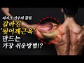후면 어깨(후면 삼각근)을 키우는 가장 쉬운 방법!? (feat.페이스풀)
