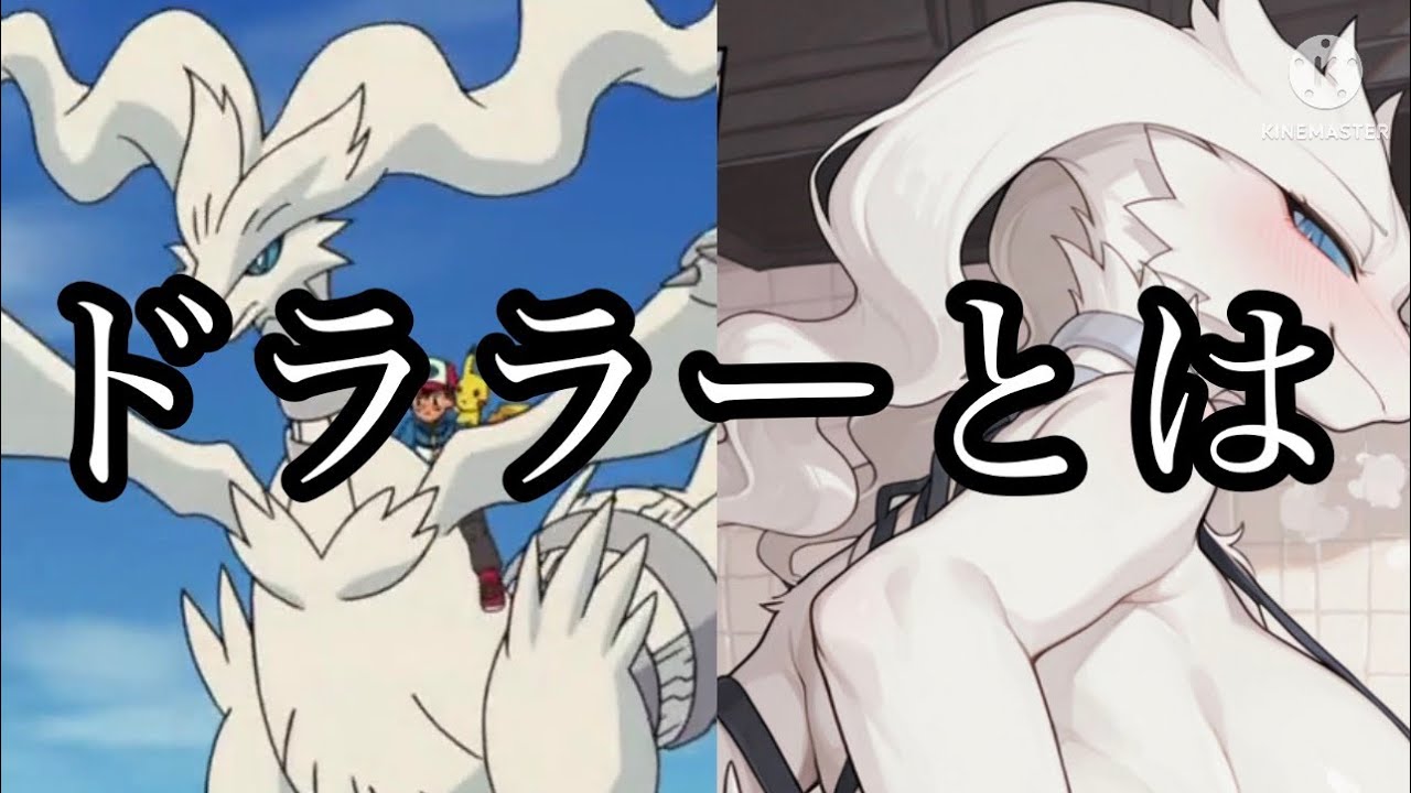 ドララーとは　　　#furry #furrymemes #ケモナー 