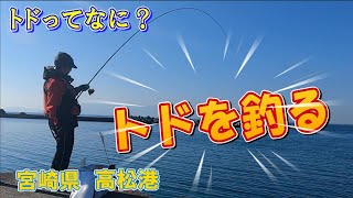 細仕掛けで釣りしたら○○が！強烈な引きの正体は？‼