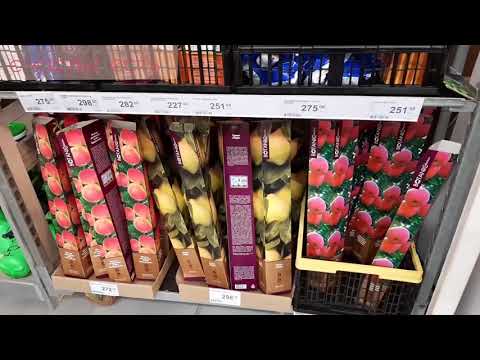 ЛЕРУА МЕРЛЕН🍎🍏🍐🍒 САД И ОГОРОД ⚘🌷🥀 ОБЗОР ПОЛОЧЕК