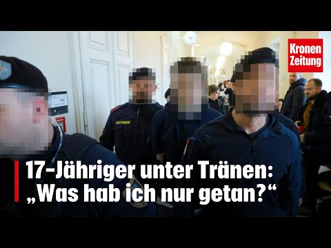 Späte Reue in Haft - 17-Jähriger unter Tränen: „Was hab ich nur getan?“ | krone.tv NEWS