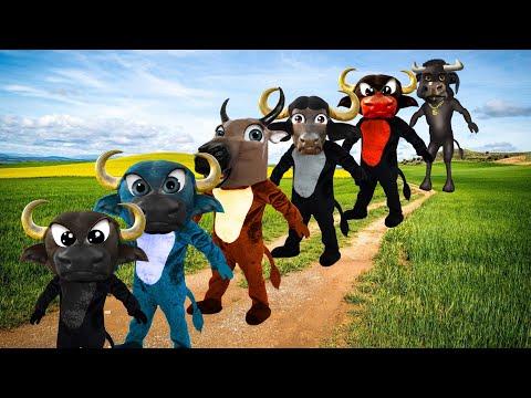 OS BOIS DA CARA PRETA MIX SONGS🐮 | AS MELHORES HISTORINHAS DOS BOIS EM DESENHO INFANTIL | THE BEST🏆🐂