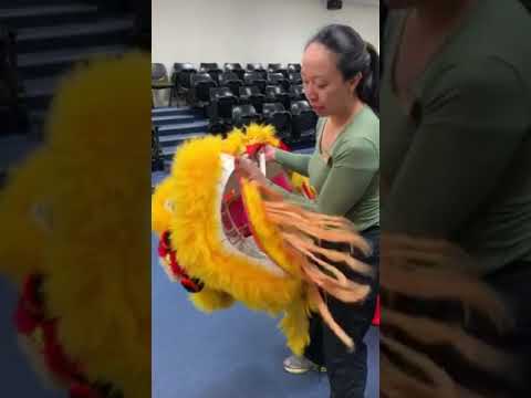 Basic Lion Dance Routine - Part 1