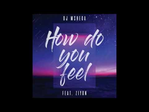 Dj Mshega How Do You Feel ft.  Ziyon
