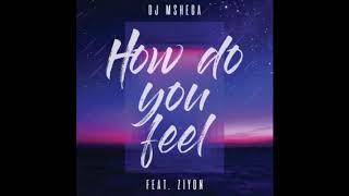 Dj Mshega How Do You Feel ft.  Ziyon