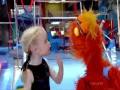 Sesame Street Murray Has A Little Lamb Gymnastics School