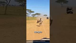 Animais flagrados em Ataques Bizarros! #curiosidades #bichos #animais