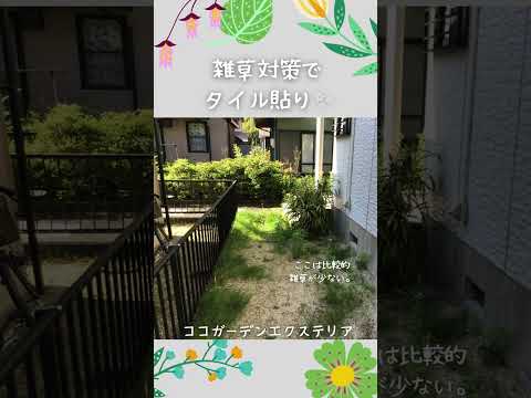 庭で最も一般的な雑草をどのように見分けるか?  庭園