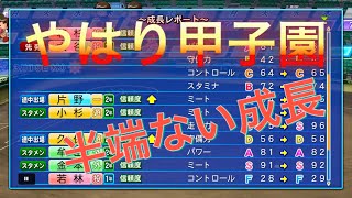 《パワプロ2018》やはり甲子園半端ない《栄冠ナイン みかん高校編#79》