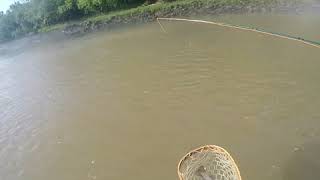 preview picture of video 'Lower Illinois river June 9 2018'