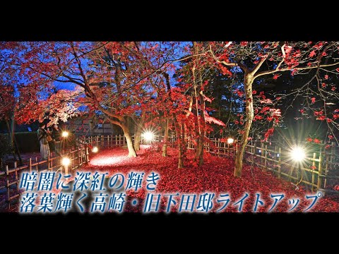 Un resplandor carmesí en la oscuridad, iluminado por las hojas caídas en Takasaki y la antigua mansión Shimoda.