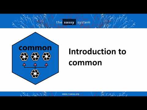 Common Package Introduction