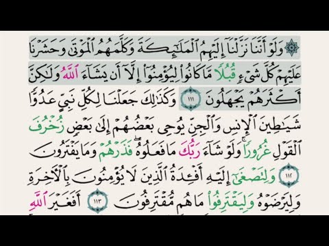 Saad Al Ghamidi – Juz 8