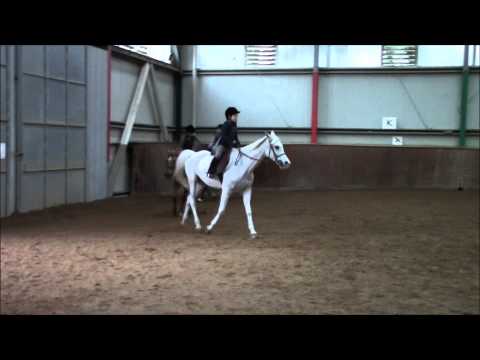 Gianluca Messina - Galoppo - 09/03/2013 HD